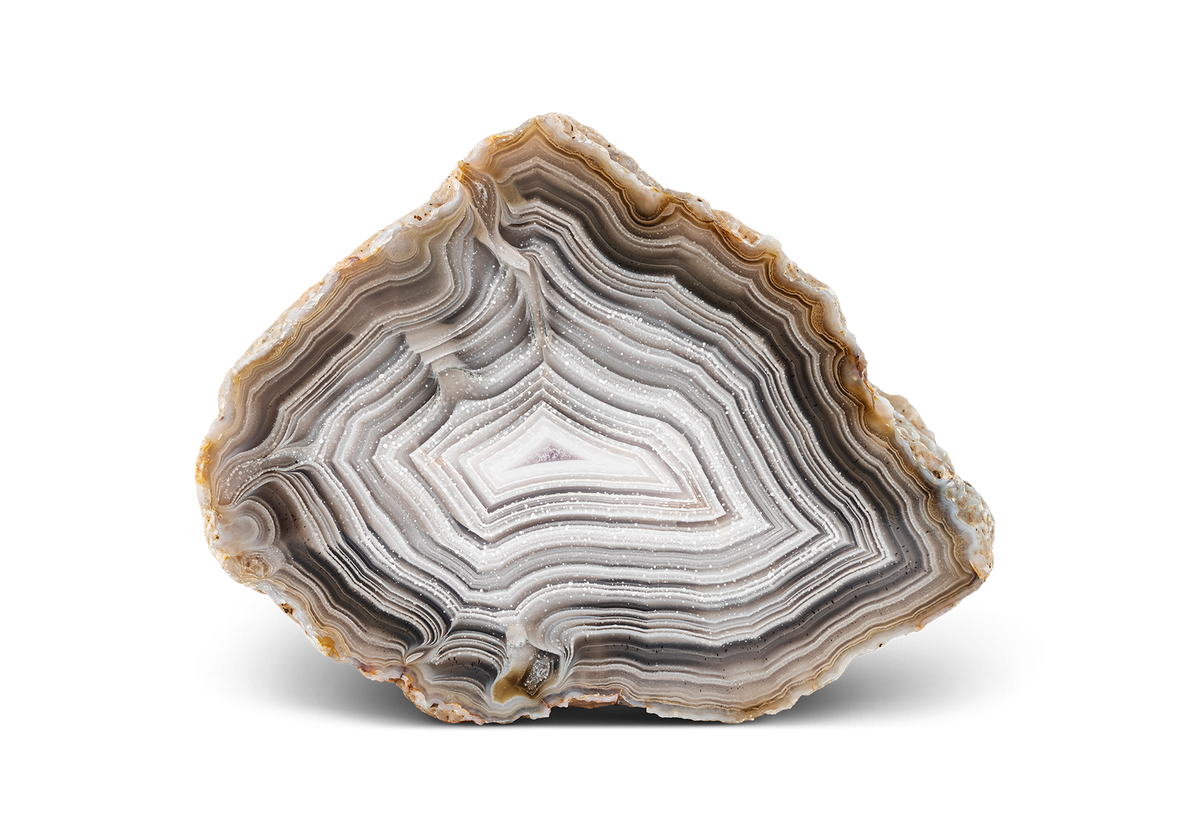 Calandria Agate