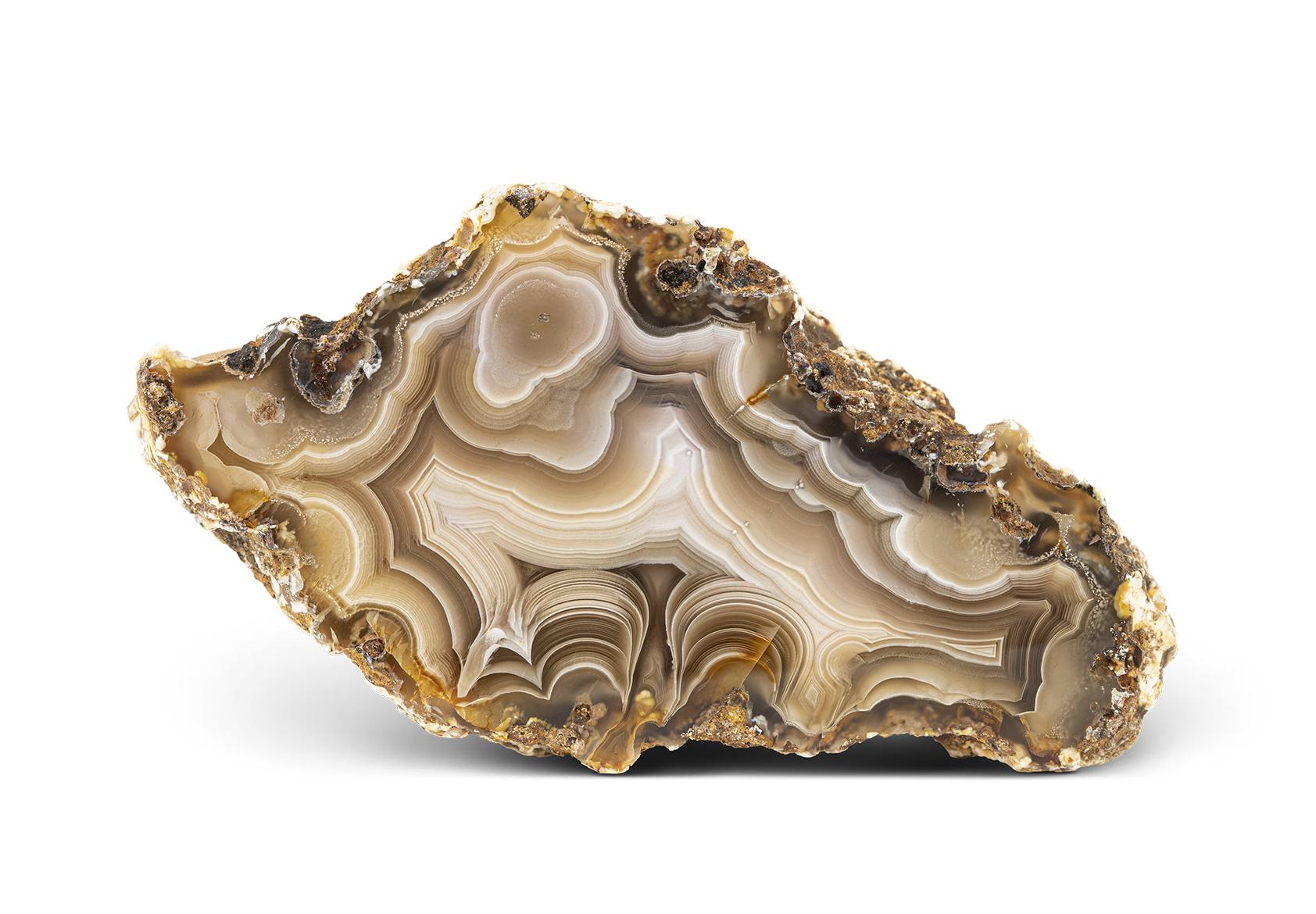 Calandria Agate