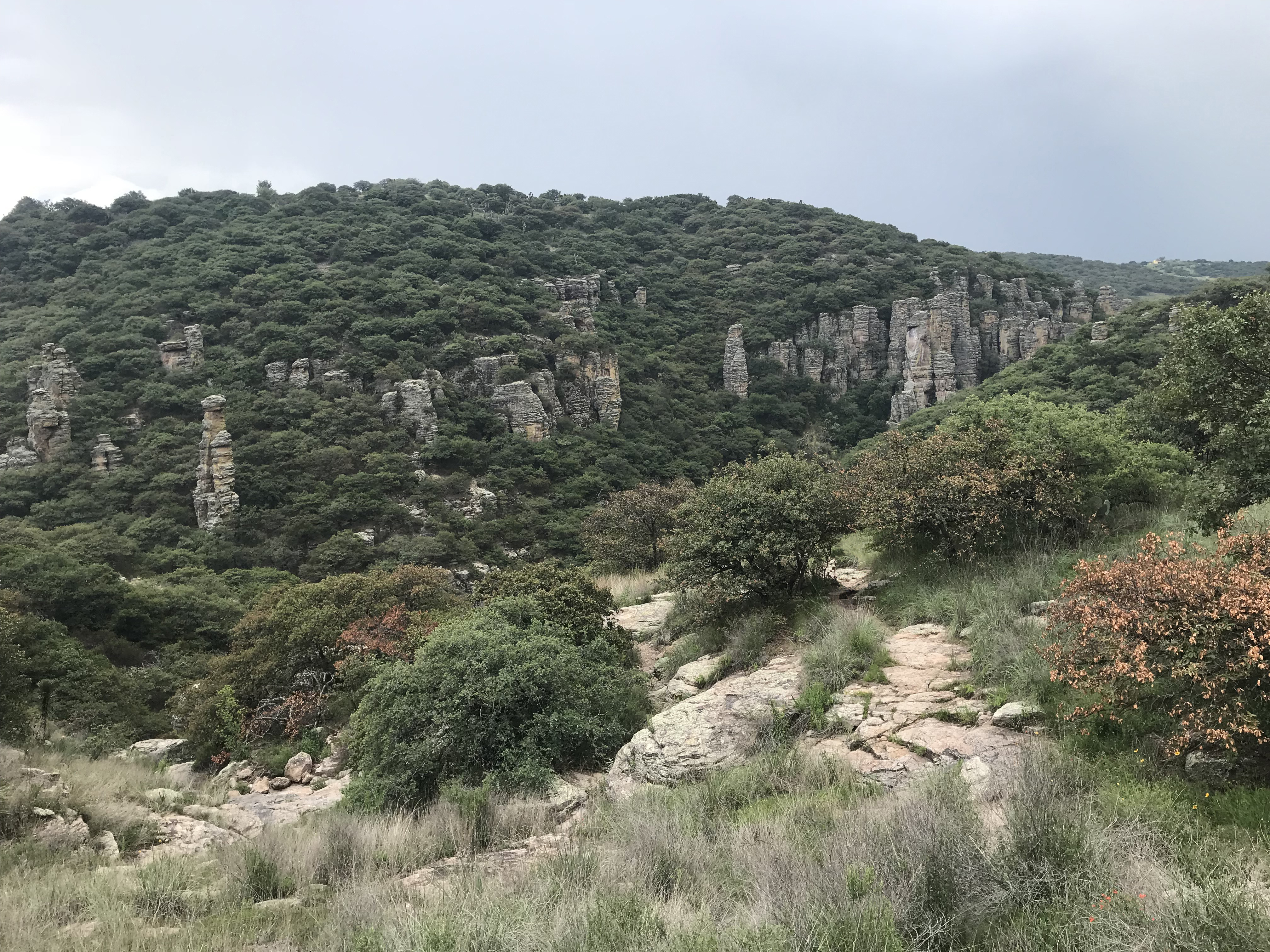 1. Lokalita se nachází cca 80km od města Leon-GTO