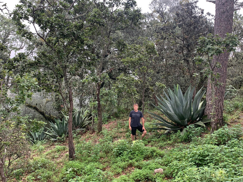 1. Krásné lesy v okolí Puerto Vallarta, Cerro de la Buffa