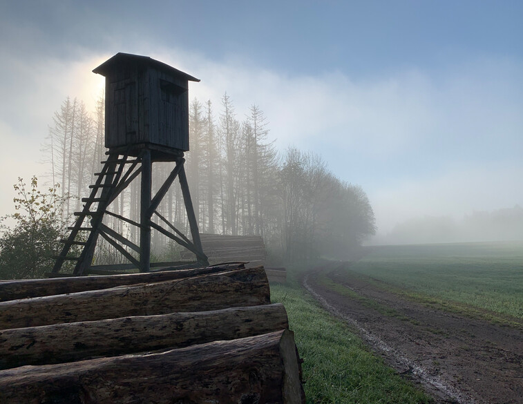 1. Pole na Rovních nad Dolní Kalnou